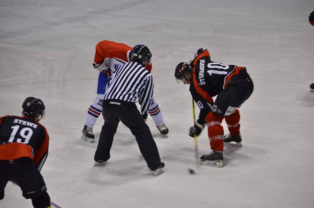 Éra PAHL ligy - 2013-2016 (4)