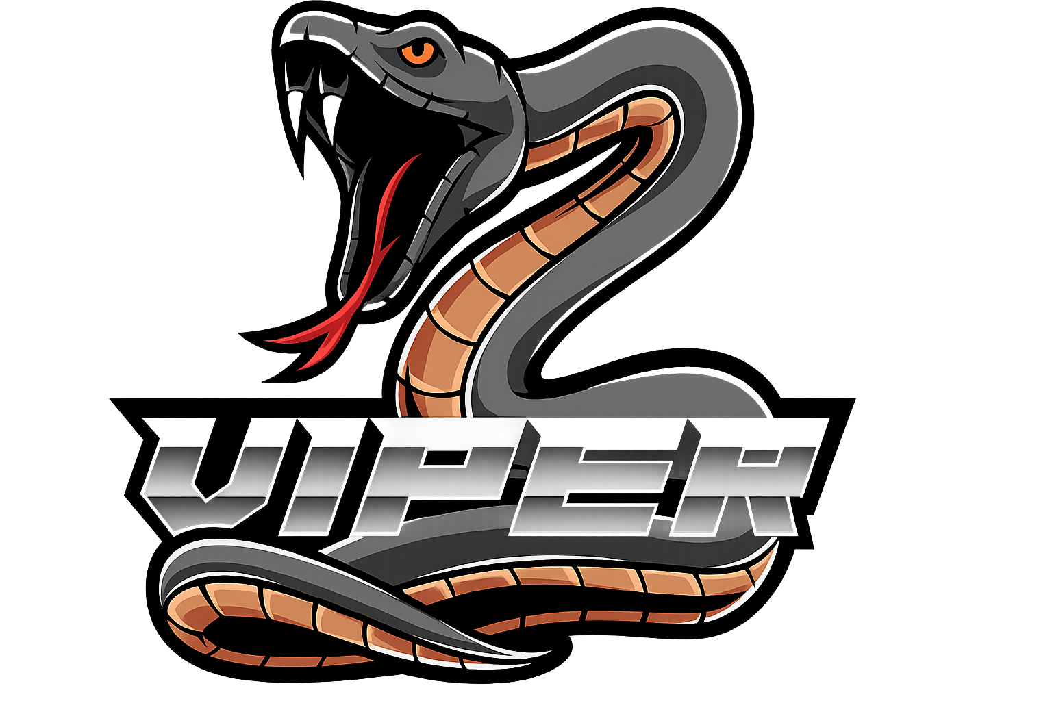 Viper Ústí
